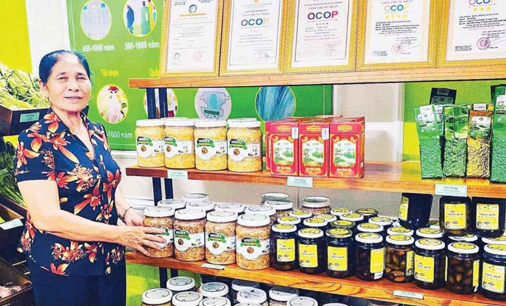 Từ Hương Vị Dân Dã Đến Niềm Tự Hào Họ Hồ – Câu Chuyện “Nhút Bà Quế” Thanh Chương