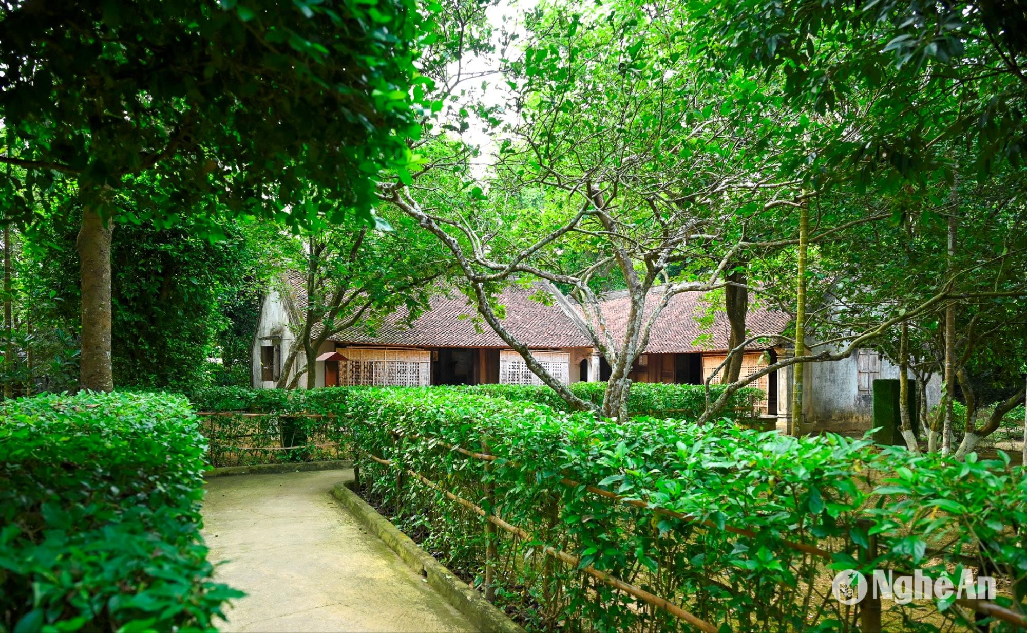 A path through a green garden

AI-generated content may be incorrect.