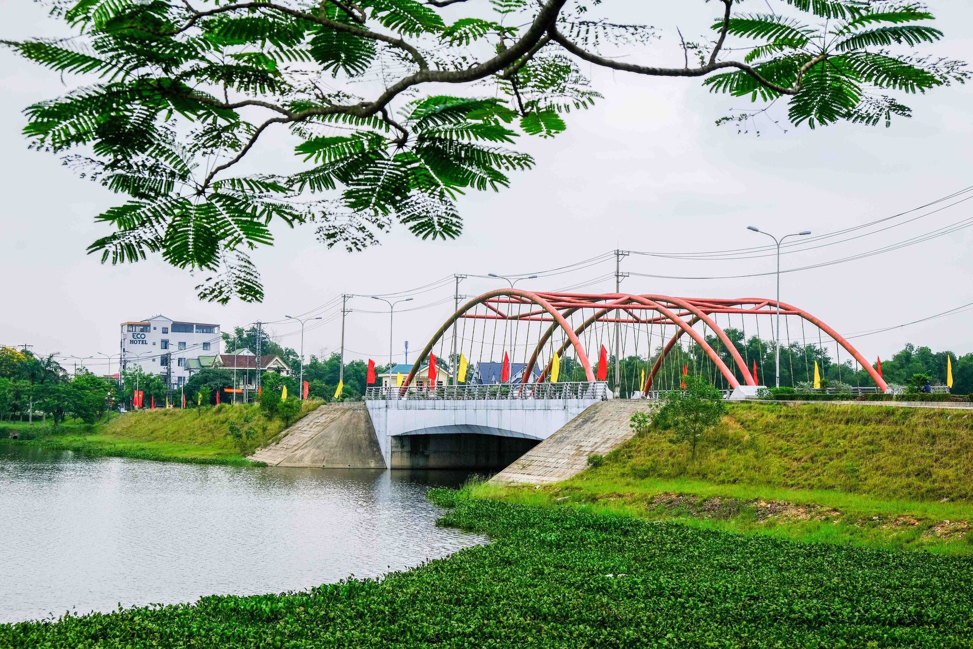 Họ Hồ Hải Thượng – Hải Lăng – Quảng Trị