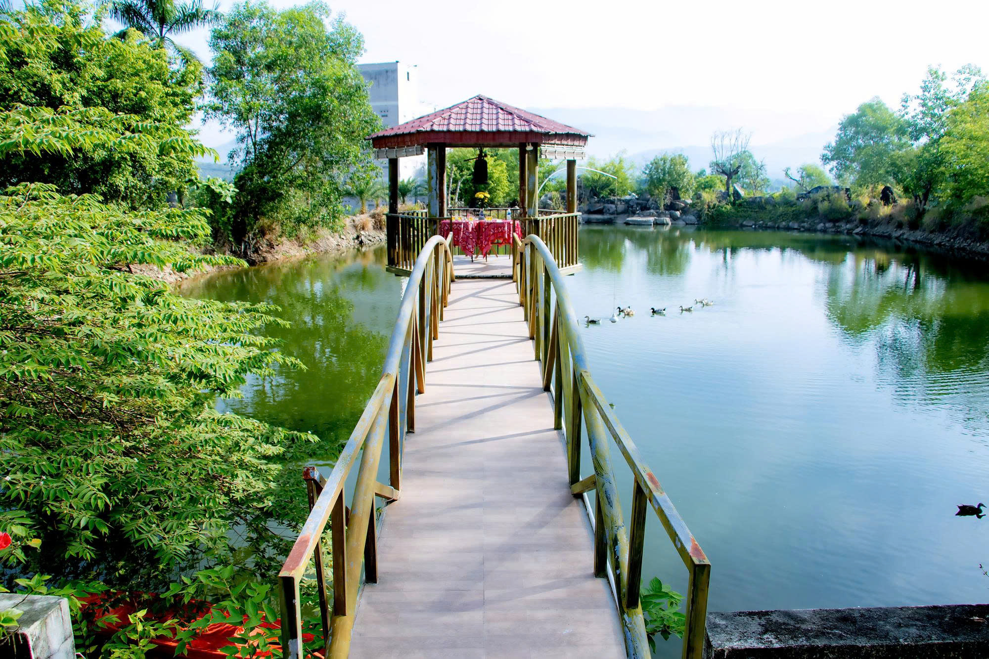 Cổ Nguyệt Hồi Quy
