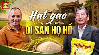 Hạt Gạo Và Di Sản Họ Hồ (Podcast)